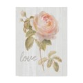 Trademark Fine Art Danhui Nai 'Garden Rose On Wood Love' Canvas Art, 14x19 WAP06617-C1419GG